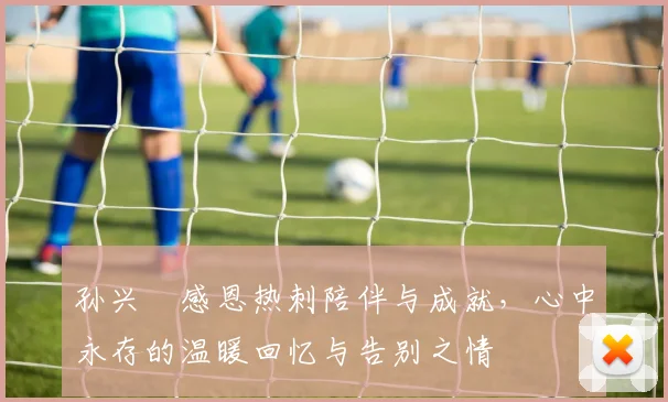 孙兴慜感恩热刺陪伴与成就，心中永存的温暖回忆与告别之情